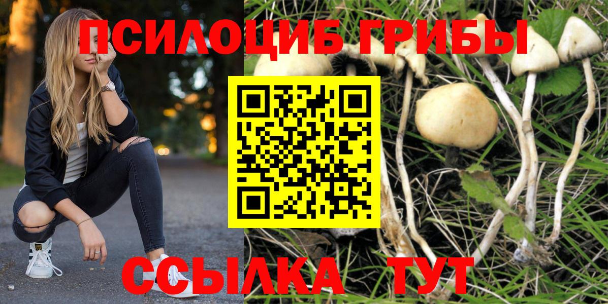 наркотики  Псилоцибиновые грибы Cubensis  Псилоцибиновые грибы GOLDEN TEACHER  Вход с VPN  Борисоглебск 